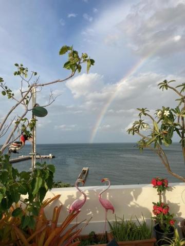 Pierview Rooms Hua Hin Luaran gambar